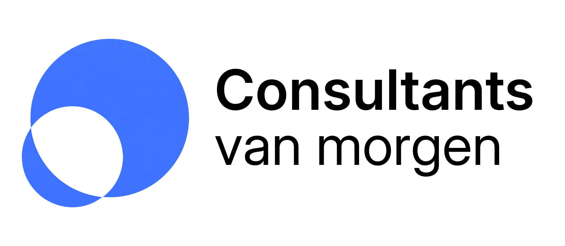 Consultants van Morgen